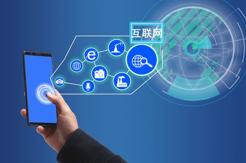 互联网的发展与信息服务的演变